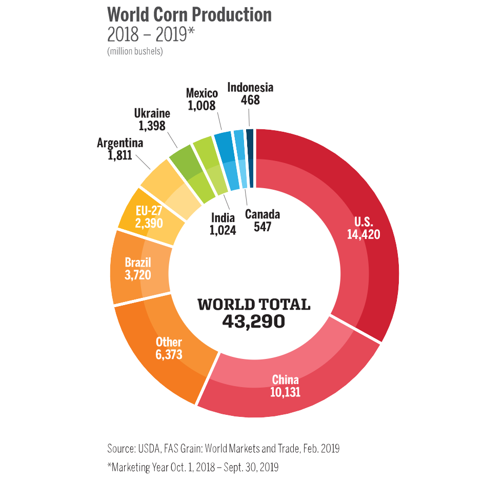 Các nước sản xuất ngô hằng đầu niên vụ 2018-2019